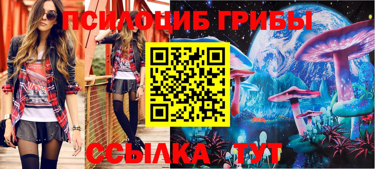 Псилоцибиновые грибы GOLDEN TEACHER Каменск-Шахтинский