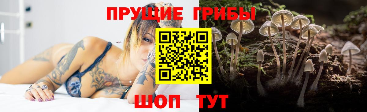 Псилоцибиновые грибы Psilocybe  Псилоцибиновые грибы Psilocybine cubensis  Вход с VPN  Каменск-Шахтинский 